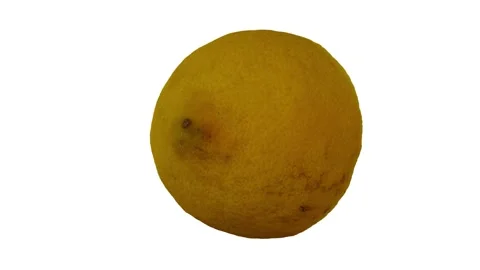 Rotating Half Lemon on White Background (Looping) Stock Footage 151184414