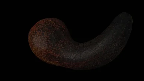 Rotating Half Long Neck Avocado on Transparent Background (Looping) Stock Footage 149278323