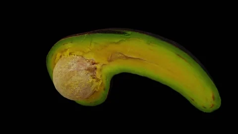Rotating Half Long Neck Avocado on Black Background (Looping) Stock Footage 149279356