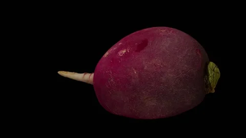 Rotating Half Red Radish on Black Background (Looping) Stock Footage 148598539
