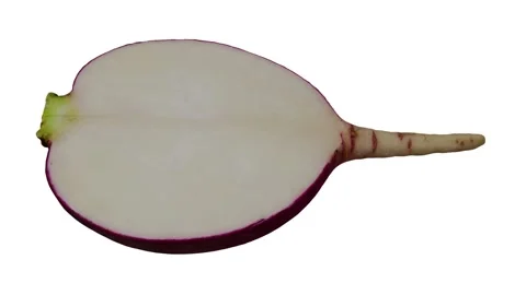 Rotating Half Red Radish White Background (Looping) Stock Footage 148598295