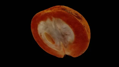 Rotating Half Santol on Black Background (Looping) Stock Footage 146876500