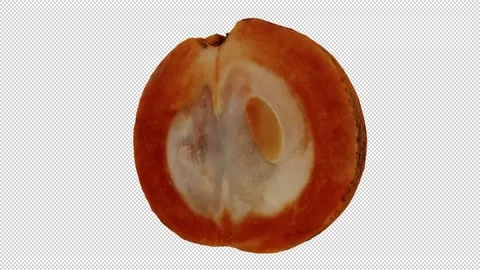 Rotating Half Santol on Transparent Background (Looping with Alpha Channel) Stock Footage 146826782