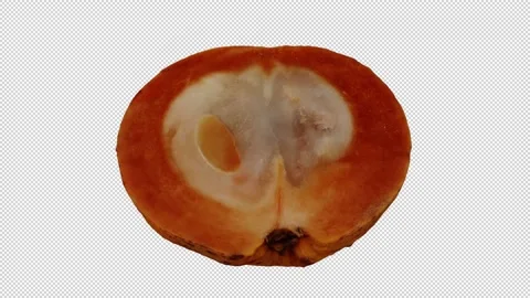 Rotating Half Santol on Transparent Background (Looping with Alpha Channel) Stock Footage 146876413