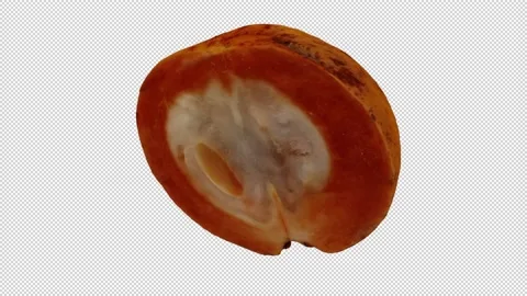 Rotating Half Santol on Transparent Background (Looping with Alpha Channel) Stock Footage 146876489
