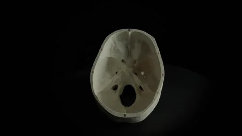 Rotating Half Skull Stock Footage 278090154
