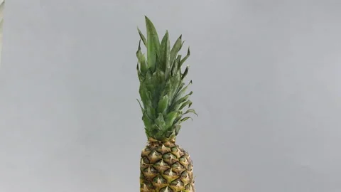 Rotating half sliced pineapple on silver theme Video stock 141670294