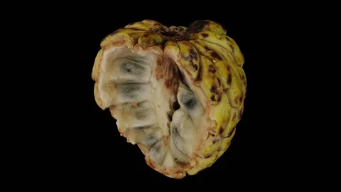 Rotating Half Sugar-Apple on Black Background (Looping) Stock Footage 147526018