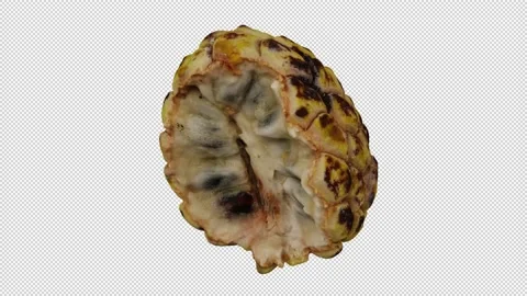 Rotating Half Sugar-Apple on Transparent Background (Looping with Alpha Channel) Stock Footage 147526455