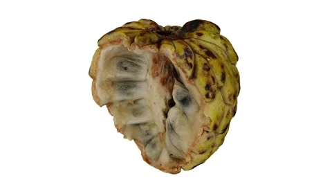 Rotating Half Sugar-Apple on White Background (Looping) Stock Footage 147526037