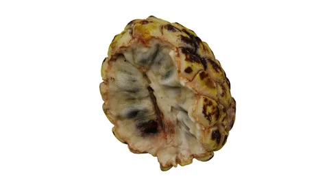 Rotating Half Sugar-Apple on White Background (Looping) Stock Footage 147526558