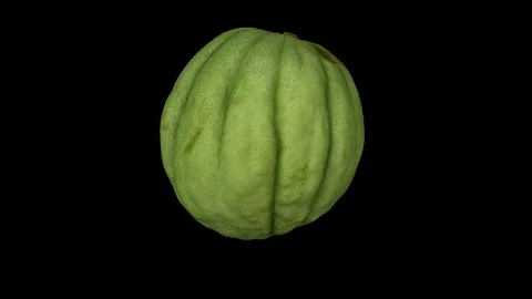 Rotating Half Unripe Melon on Black Background (Looping) Stock Footage 98491341