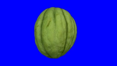 Rotating Half Unripe Melon on Blue Background (Looping) Stock Footage 98490198