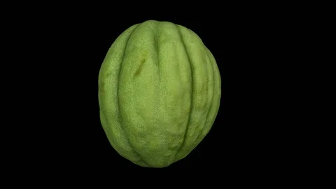 Rotating Half Unripe Melon on Transparent Background (Alpha Channel) Stock Footage 98489629