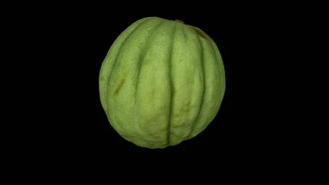 Rotating Half Unripe Melon on Transparent Background (Alpha Channel) Video stock 98491239