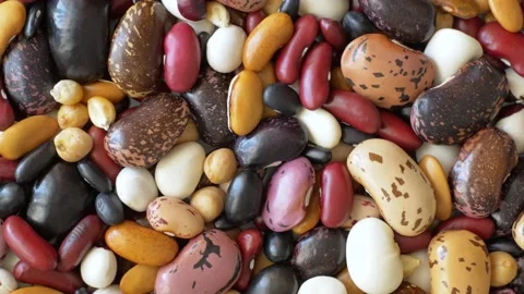 Rotating Haricot Bean Stock Footage 93740171