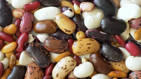 Rotating Haricot Bean Stock Footage 93740506