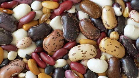Rotating Haricot Bean Stock Footage 93740806