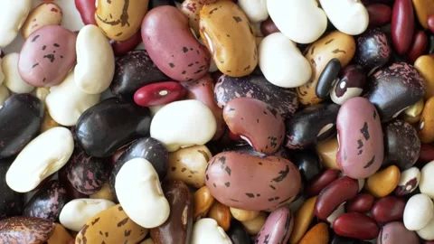 Rotating Haricot Bean Stock Footage 93741073