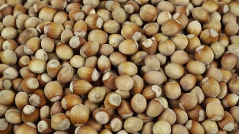Rotating Hazelnut In Shell. Stock-Footage 250229673