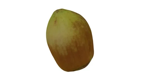 Rotating Hazelnut on White Background (Looping) Stock Footage 150235544