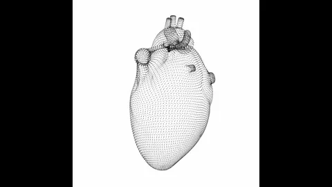 Rotating Heart Minimalistic Wireframe Endless Loop 4K 60FPS Stock Footage 308383453