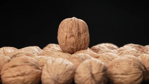 Rotating Hero Walnut In Shell Selective Focus Black Background Stock-Footage 332526314