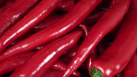 Rotating Hot Red Chili Pepper. Stock Footage 256570340