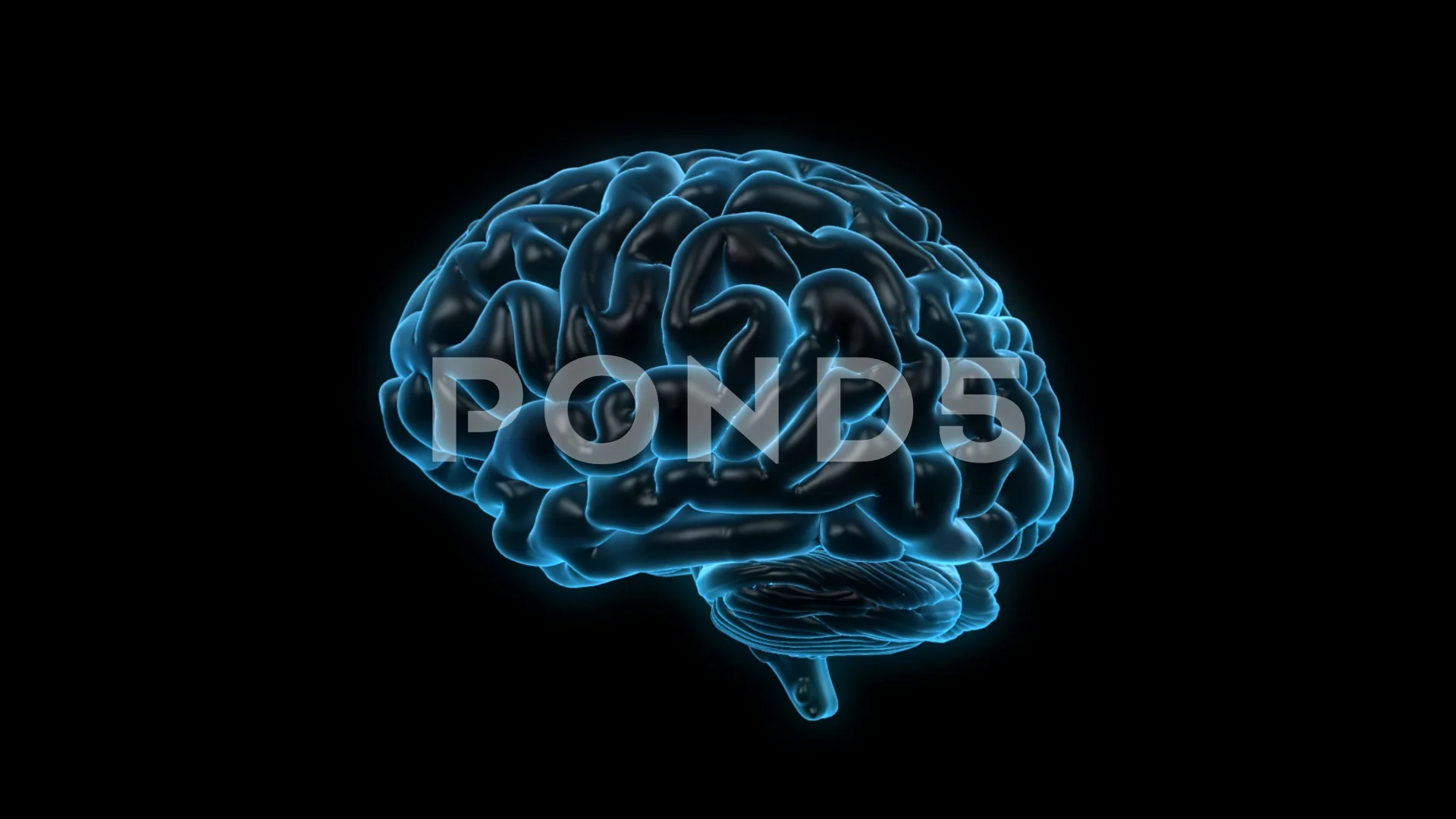 Psychology Brain Wallpaper