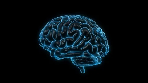Rotating human brain on a black backgrou... | Stock Video | Pond5