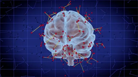 Rotating human brain 스톡 동영상 157758901