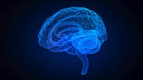 Rotating human brain. Glowing blue human brain 3d model. Seamless looping motion Stock Footage 127496272
