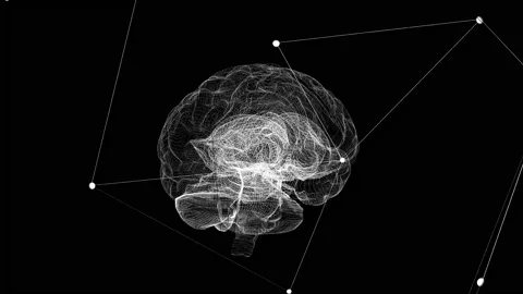 Rotating Human Brain Model Animation on a black background. Stock Footage 211782673