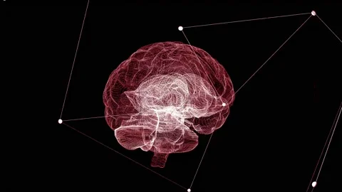 Rotating Human Brain Model Animation on a black background. Stock Footage 211782733
