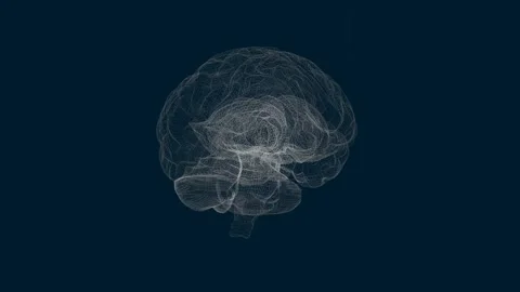 Rotating Human Brain Model Animation. Artificial Intelligence (AI). Stock Footage 211782736