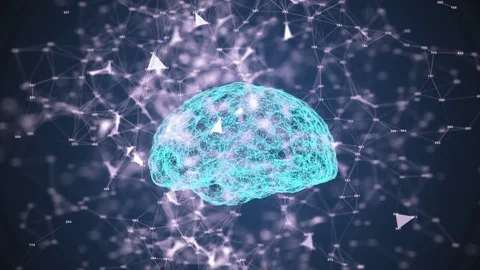 Rotating human brain. Plexus structure evolving around. Seamless loop Stock Footage 128314223