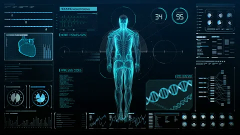 Rotating Human muscle system in digital ... | Stock Video | Pond5