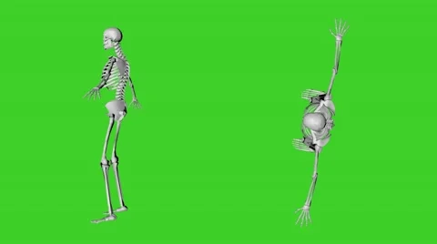Rotating the human skeleton 스톡 동영상 41601908