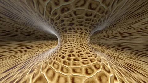 Rotating Inner Torus Stock Footage 90445090