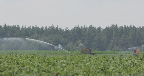 Rotating Irrigation System Watering a Corn Field Vidéo 136132853