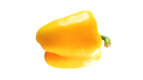 Rotating Isolated Yellow Pepper HD Stock Footage 40713604