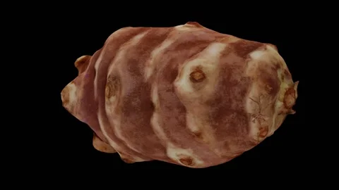 Rotating Jerusalem Artichoke on Black Background (Looping) Stock Footage 139895960