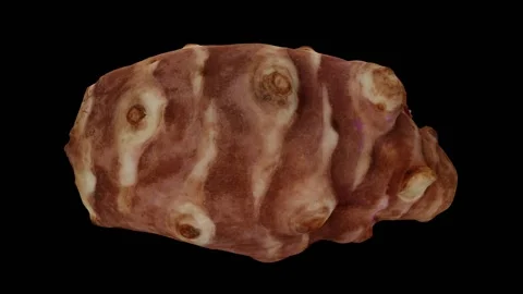 Rotating Jerusalem Artichoke on Black Background (Looping) Stock Footage 139896077