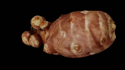 Rotating Jerusalem Artichoke on Black Background (Looping) Video stock 139896203