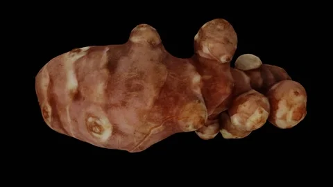 Rotating Jerusalem Artichoke on Black Background (Looping) Stock Footage 139896453