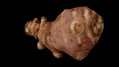 Rotating Jerusalem Artichoke on Black Background (Looping) Stock Footage 139896760