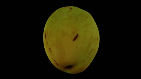 Rotating Jujube on Black Background (Looping) Stock Footage 146718268