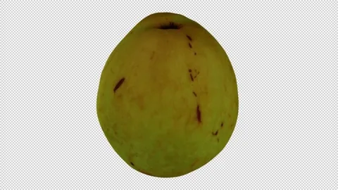 Rotating Jujube on Transparent Background (Looping with Alpha Channel) Stock Footage 146718050