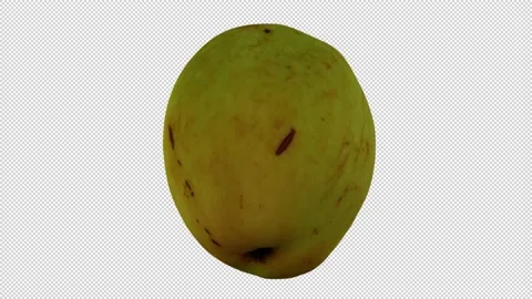 Rotating Jujube on Transparent Background (Looping with Alpha Channel) Stock Footage 146718176