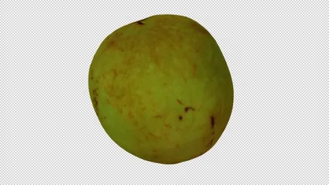 Rotating Jujube on Transparent Background (Looping with Alpha Channel) Stock Footage 146718382